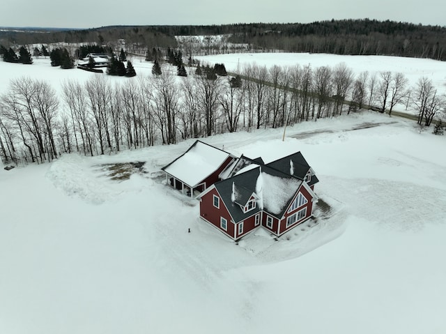 view of snowy aerial view