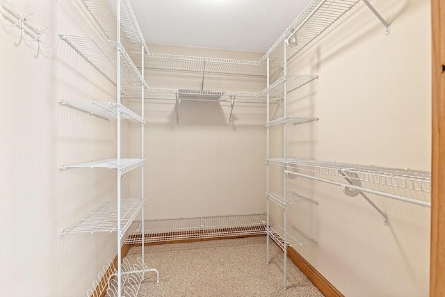 view of walk in closet