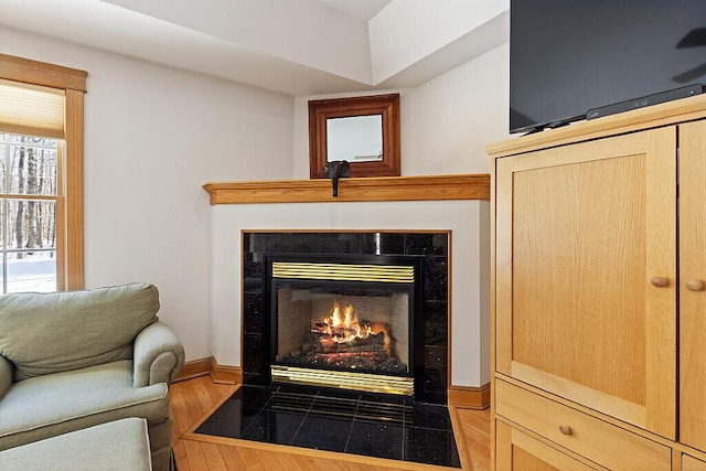 details featuring wood finished floors and a fireplace with flush hearth