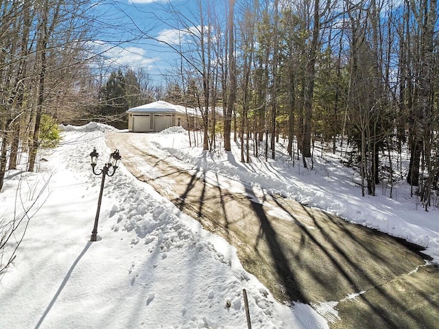 yard layered in snow with an outbuilding and a detached garage