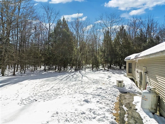 view of yard covered in snow