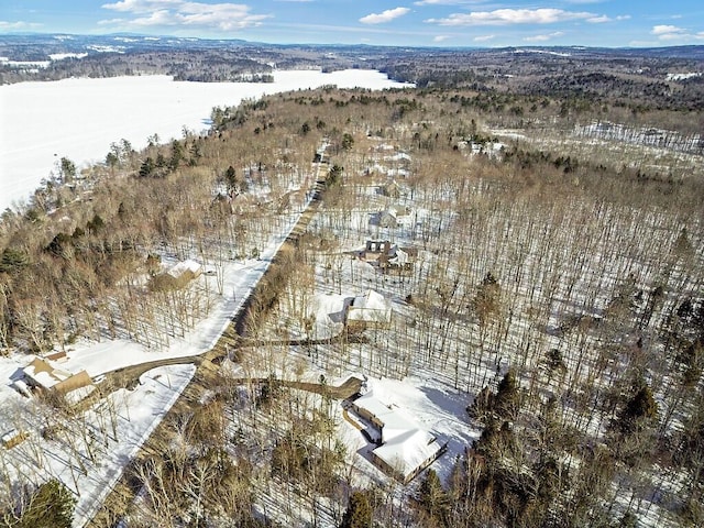 snowy aerial view with a forest view