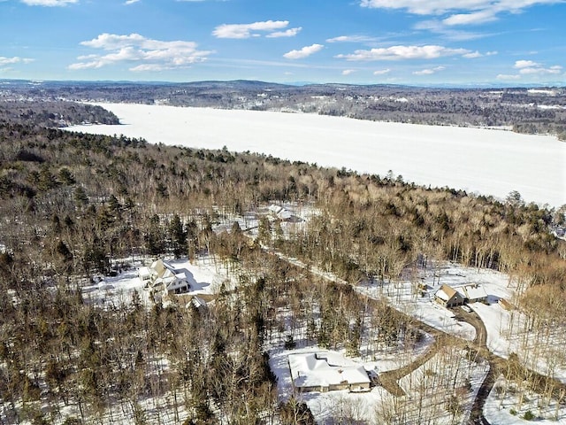 drone / aerial view with a water view and a wooded view