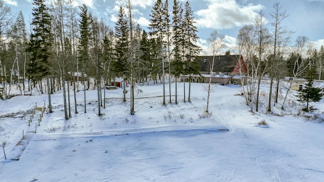 view of snowy yard