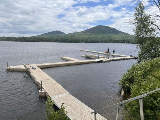 dock area with a water and mountain view