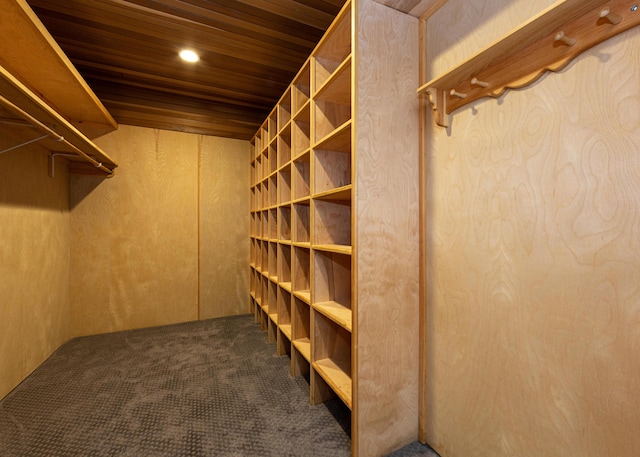 walk in closet featuring carpet