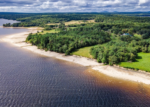 aerial view featuring a water view and a view of trees