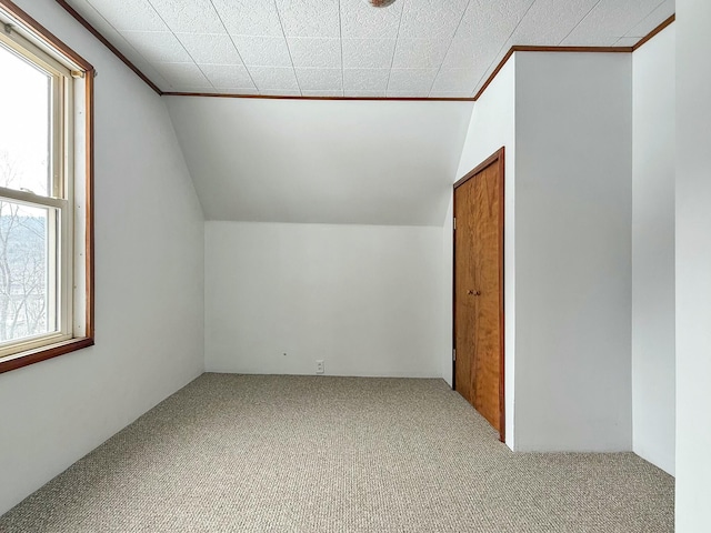 additional living space with vaulted ceiling, carpet floors, and a wealth of natural light