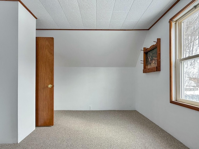 additional living space featuring carpet floors and vaulted ceiling