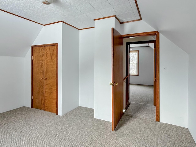 additional living space with lofted ceiling and carpet floors