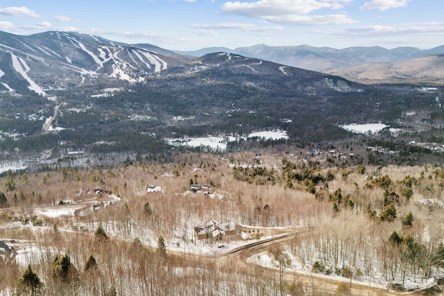 view of mountain feature