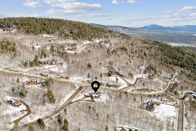 bird's eye view featuring a mountain view