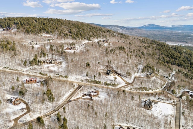 bird's eye view with a mountain view