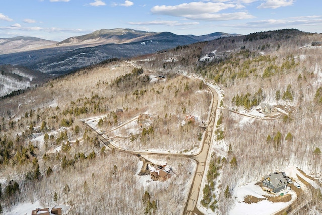 bird's eye view with a mountain view