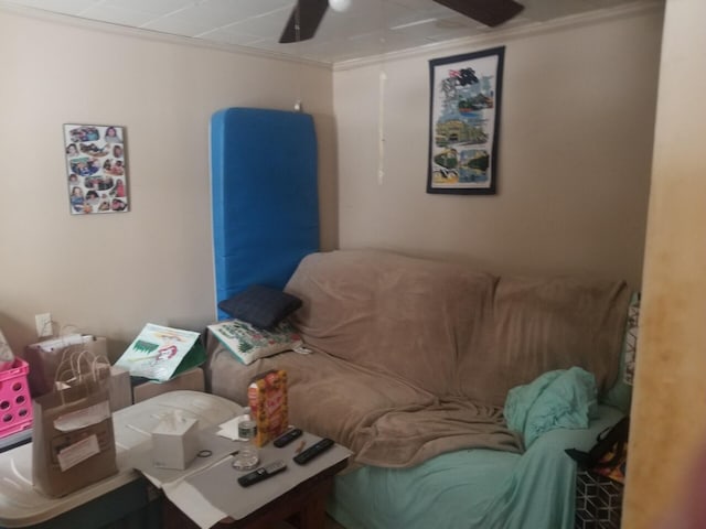 living area featuring a ceiling fan and crown molding