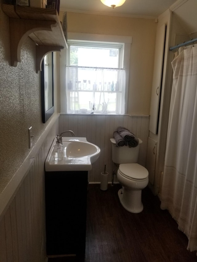 46 Collins St, Caribou, ME 04736 - full bath featuring a shower with shower curtain, toilet, a wainscoted wall, wood finished floors, and vanity