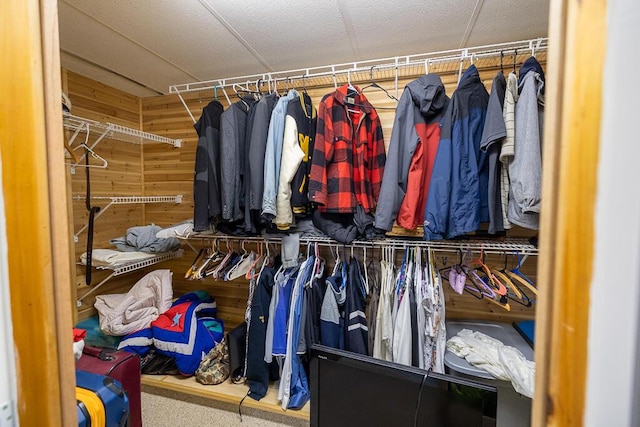 spacious closet with carpet