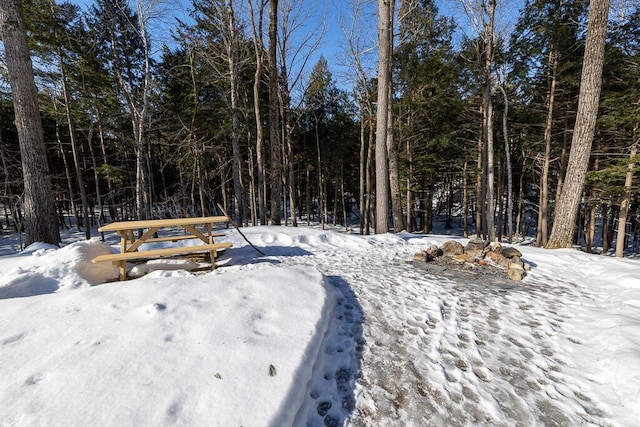 view of snowy yard