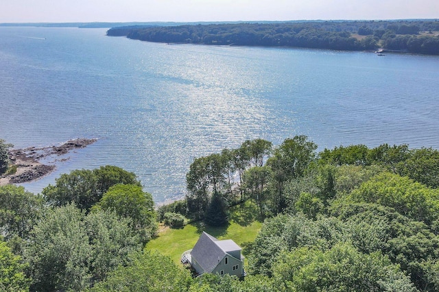 drone / aerial view with a wooded view and a water view