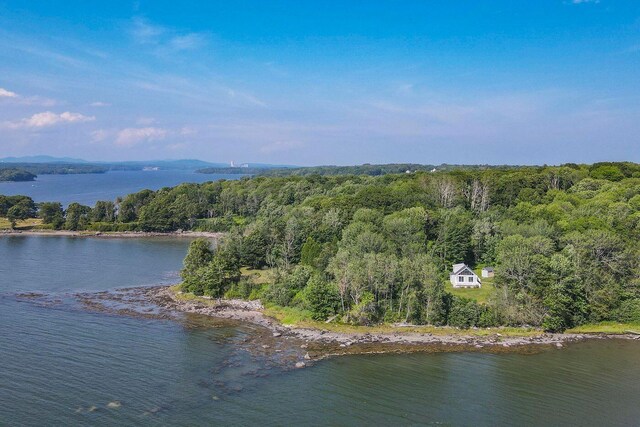 bird's eye view featuring a forest view and a water view