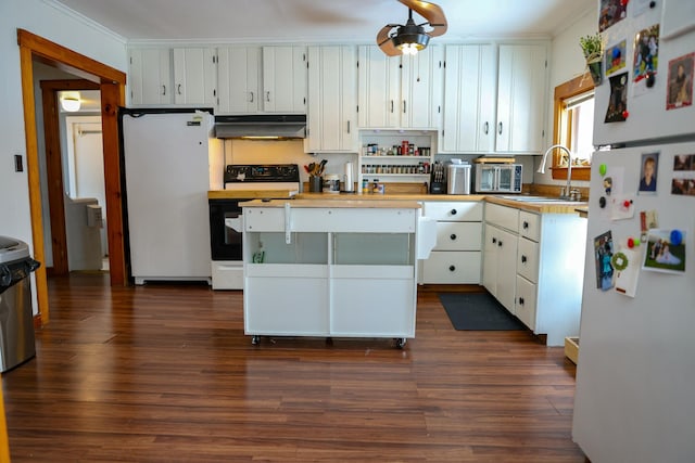 kitchen featuring under cabinet range hood, dark wood-type flooring, white appliances, and a sink