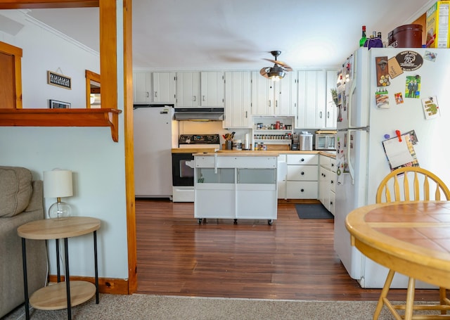 kitchen featuring electric stove, freestanding refrigerator, white cabinetry, under cabinet range hood, and fridge