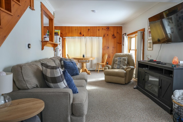 living room featuring carpet floors and wooden walls