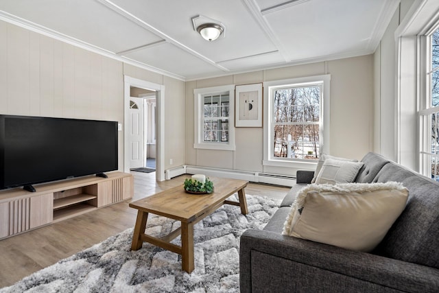 living room with crown molding, wood finished floors, and a baseboard radiator