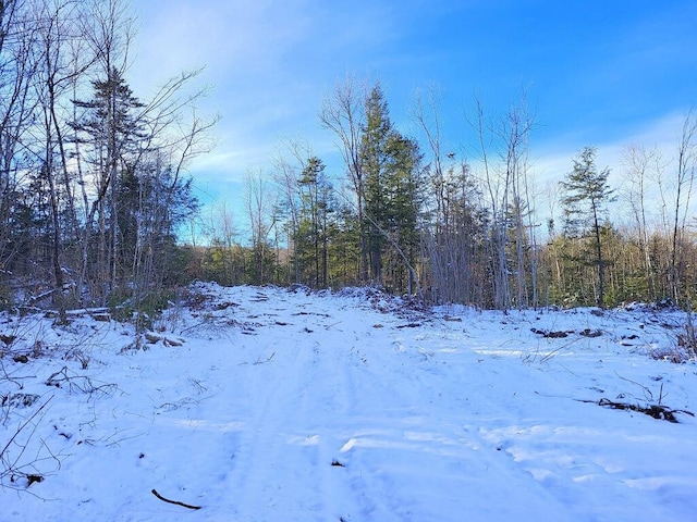 LOT62.2 Reeds Mill Rd, Madrid Twp ME, 04966 land for sale