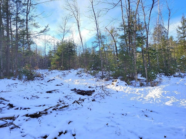 Listing photo 3 for LOT62.2 Reeds Mill Rd, Madrid Twp ME 04966