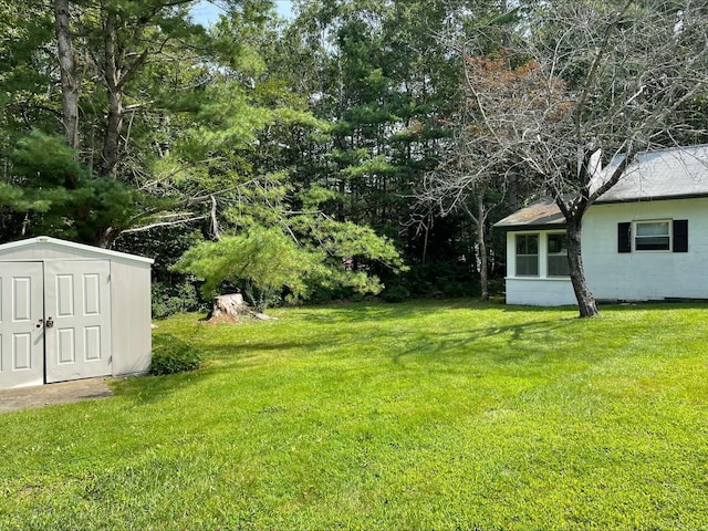 view of yard with an outbuilding and a storage unit