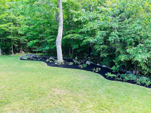 view of yard featuring a view of trees