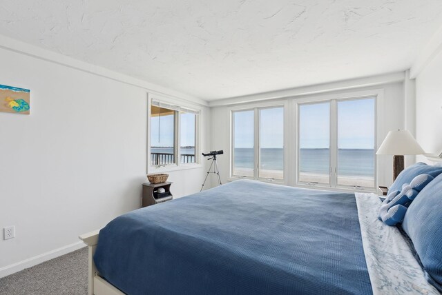 191 E Grand Ave Unit 606, Old Orchard Beach, ME 04064 - bedroom featuring baseboards, access to exterior, a water view, and carpet flooring
