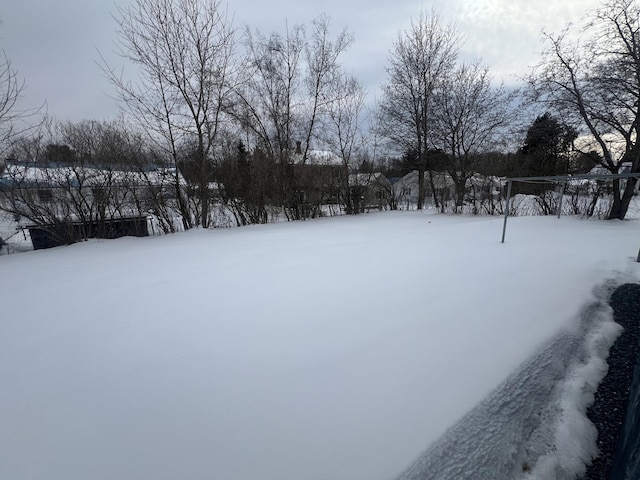 view of yard covered in snow