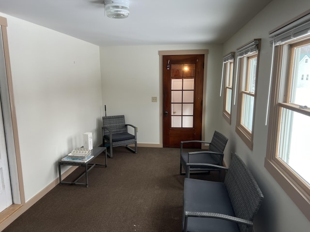 living area featuring carpet, plenty of natural light, and baseboards