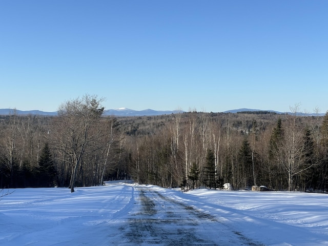 property view of mountains with a view of trees