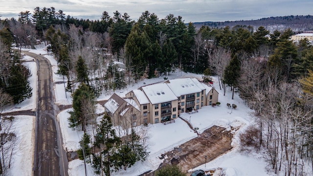 snowy aerial view featuring a view of trees