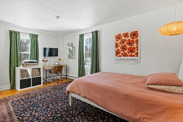 bedroom featuring wood finished floors