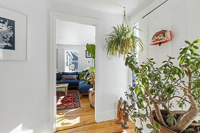 corridor featuring hardwood / wood-style floors