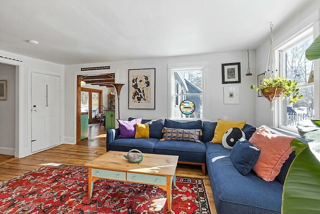 living area featuring french doors, plenty of natural light, baseboards, and wood finished floors