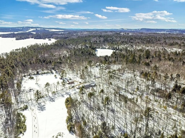 aerial view featuring a mountain view and a view of trees