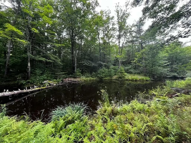 view of local wilderness featuring a forest view