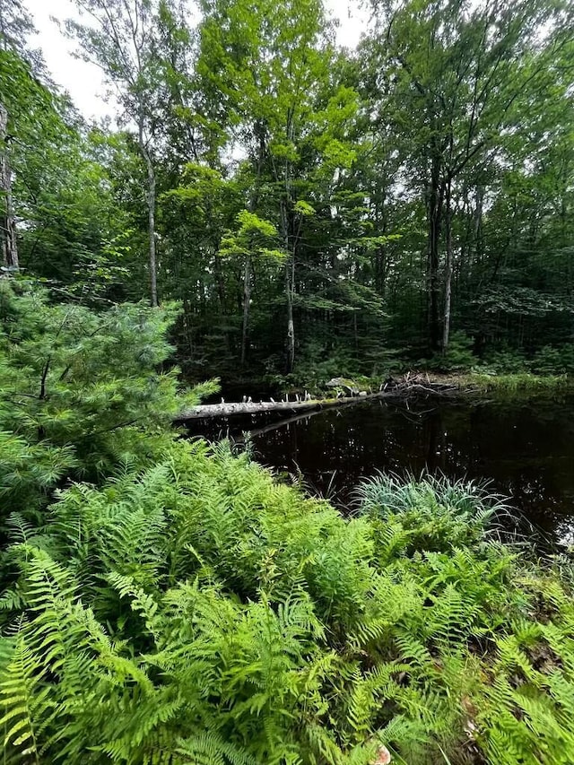 view of nature with a view of trees