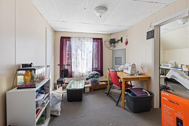 interior space with carpet and a drop ceiling