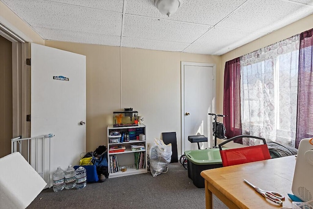 interior space with a paneled ceiling and carpet flooring