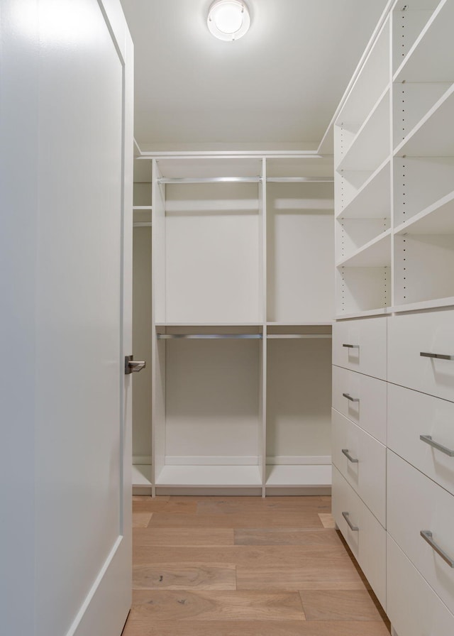 walk in closet featuring light wood-type flooring