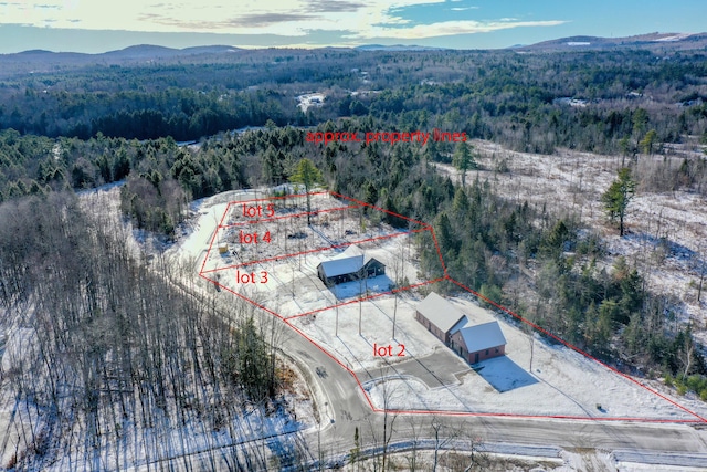 birds eye view of property featuring a mountain view and a view of trees