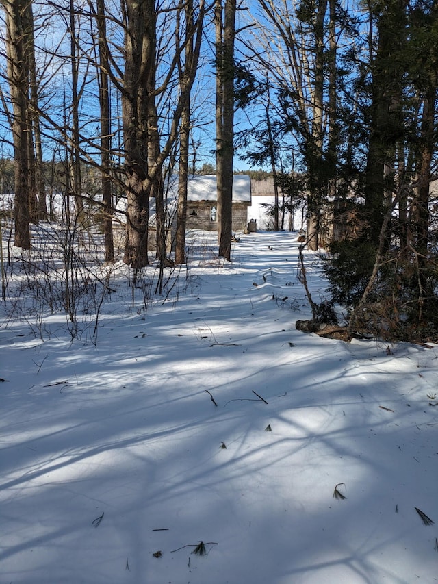 view of yard covered in snow