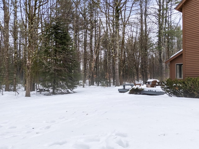 view of yard covered in snow