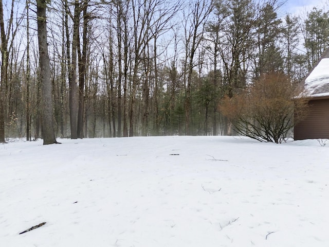 view of yard layered in snow